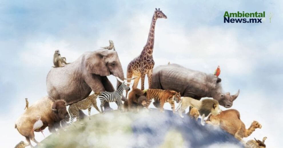 ¿Qué tan inteligentes son los animales? Un viaje por sus sorprendentes capacidades