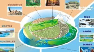 El cambio climático un desafío para la diversidad del planeta