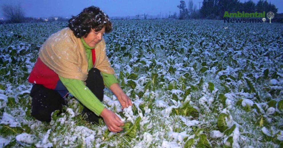 WEB AN El cambio climatico y su impacto desgarrador en los incendios forestales ¿Estamos preparados para lo peor