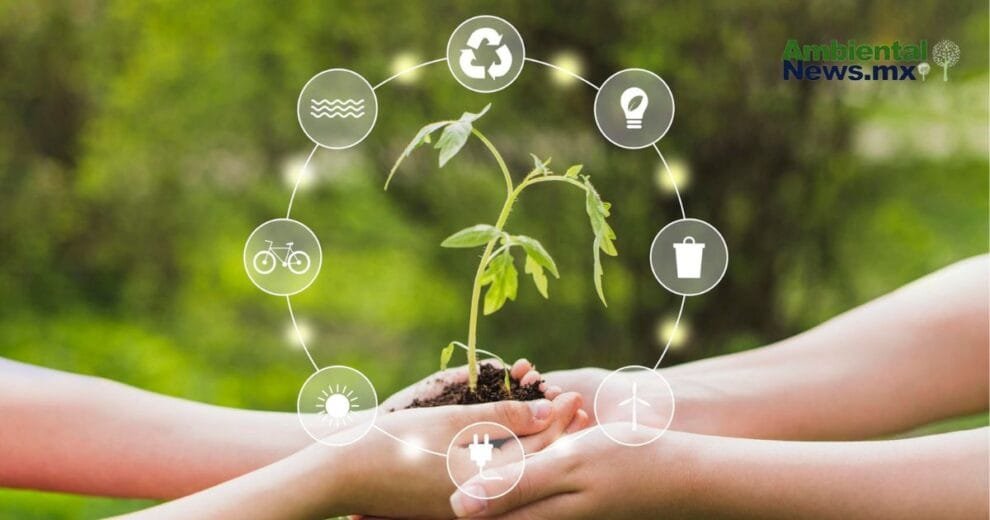 WEB AN El cambio climatico y su impacto desgarrador en los incendios forestales ¿Estamos preparados para lo peor 1