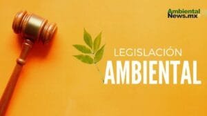 WEB AN El cambio climatico y su impacto desgarrador en los incendios forestales ¿Estamos preparados para lo peor 2