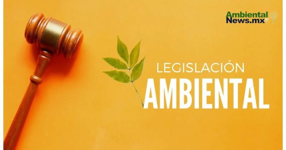 WEB AN El cambio climatico y su impacto desgarrador en los incendios forestales ¿Estamos preparados para lo peor 2