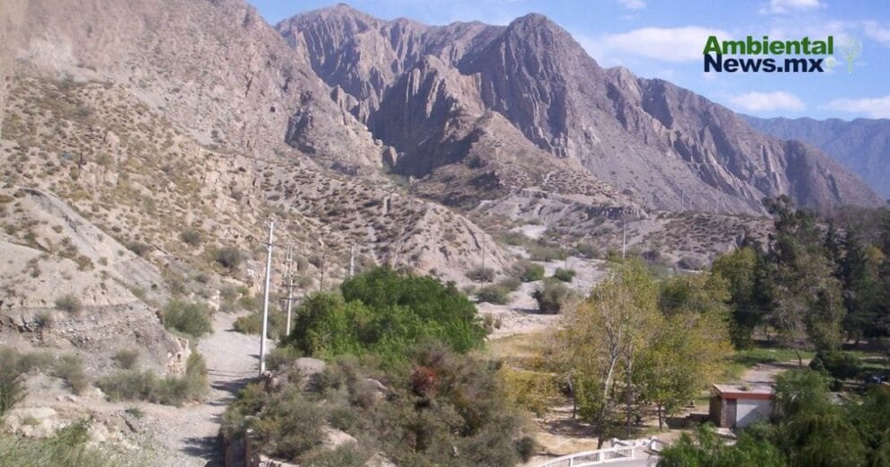 WEB AN El cambio climatico y su impacto desgarrador en los incendios forestales ¿Estamos preparados para lo peor 3