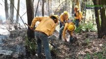 WEB AN El cambio climatico y su impacto desgarrador en los incendios forestales ¿Estamos preparados para lo peor 6
