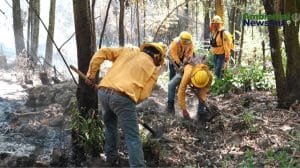 WEB AN El cambio climatico y su impacto desgarrador en los incendios forestales ¿Estamos preparados para lo peor 6