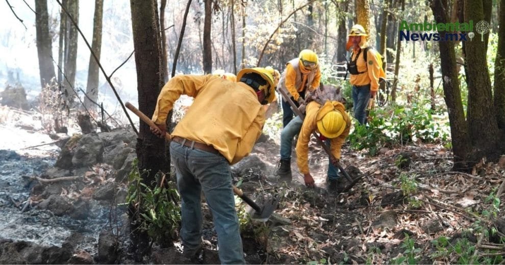 WEB AN El cambio climatico y su impacto desgarrador en los incendios forestales ¿Estamos preparados para lo peor 6
