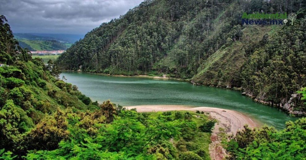 WEB AN El cambio climatico y su impacto desgarrador en los incendios forestales ¿Estamos preparados para lo peor 8