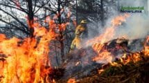 El cambio climático y su impacto desgarrador en los incendios forestales: ¿Estamos preparados para lo peor?