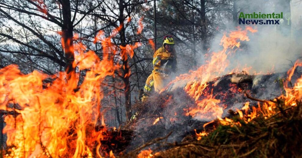 El cambio climático y su impacto desgarrador en los incendios forestales: ¿Estamos preparados para lo peor?