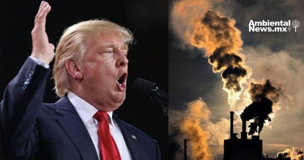 El regreso de Trump y sus efectos sobre el cambio climático y las energías renovables