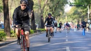 WEB AN Esterilizacion de perros y gatos en la UNAM a precios accesibles 1 3