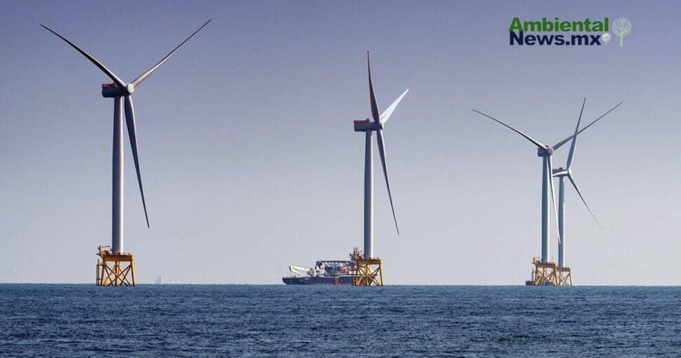 WEB AN Esterilizacion de perros y gatos en la UNAM a precios accesibles 4