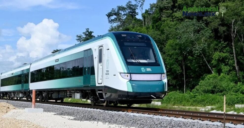 WEB AN Esterilizacion de perros y gatos en la UNAM a precios accesibles 7