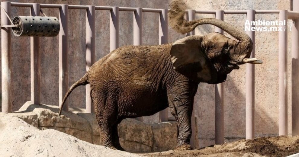 WEB AN La transicion energetica en Mexico Retos y oportunidades 1 1