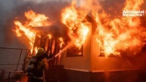 WEB AN Rescatados del frio y el abandono 24 perritos encuentran una nueva oportunidad de vida