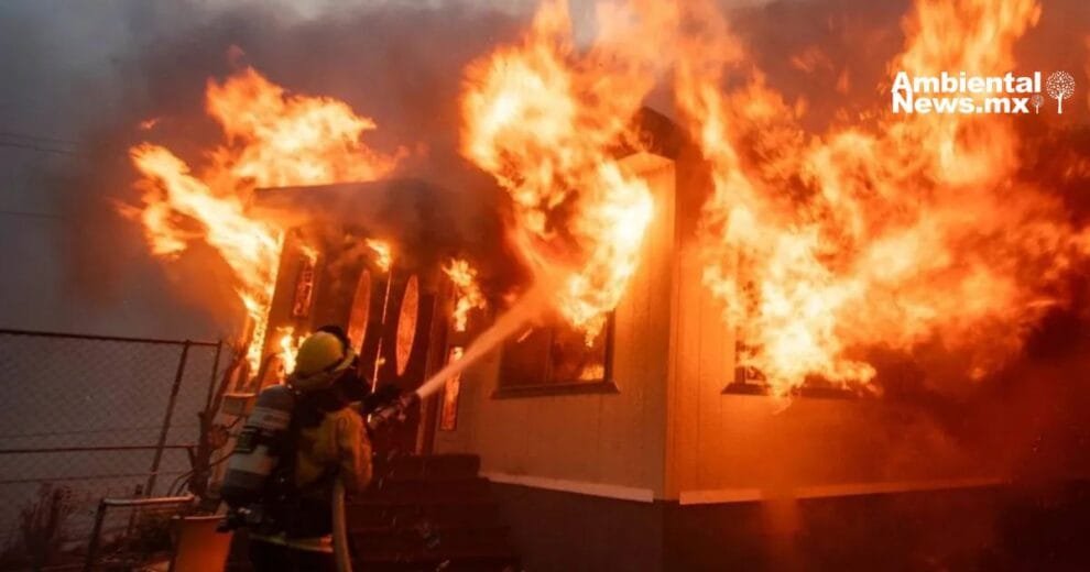 Devastador incendio en los Ángeles: más de 100,000 personas afectadas 10 WEB AN Rescatados del frio y el abandono 24 perritos encuentran una nueva oportunidad de vida