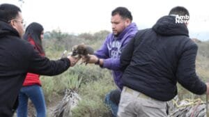 Del frío al calor de una segunda oportunidad. 24 perritos rescatados en Escobedo. Call to Action: Descubre la historia completa detrás de este emotivo momento.