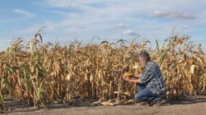 cambio climatico en la agricultura
