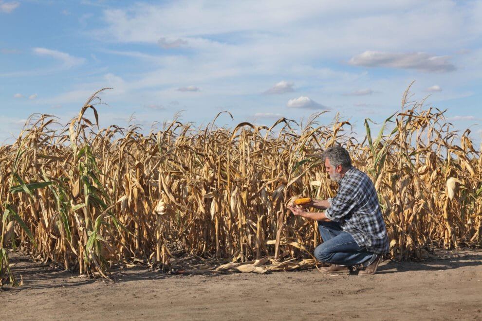 cambio climatico en la agricultura