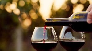 La sostenibilidad en cada sorbo: los vinos que ayudan al medio ambiente