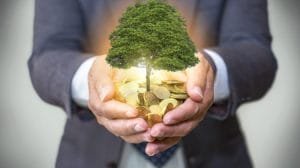 Negocios sostenibles: el camino hacia un futuro responsable