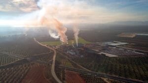 Temporada de Ozono 2025: Acciones clave para mejorar la calidad del aire y proteger tu salud