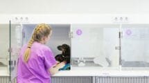 Nuevo centro veterinario en Aguascalientes: menos sacrificios, más vida