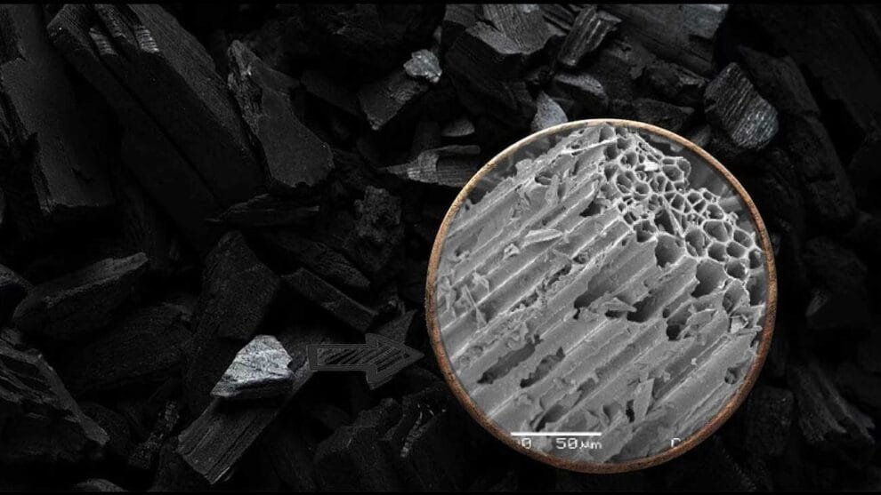 Biocarbón: el nuevo héroe contra el CO2