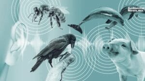 Científicos crean una IA que traduce los sentimientos de los animales