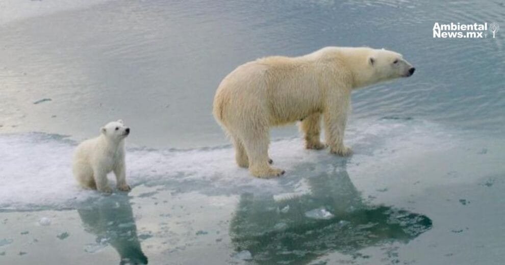 Dominica La isla que desafia al cambio climatico 1