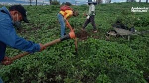 Futuro brillante Oaxaca impulsa IA y energias limpias 2
