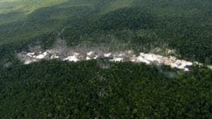 Aumento del 35% en la deforestación de Colombia durante 2024 pone en alerta a ambientalistas