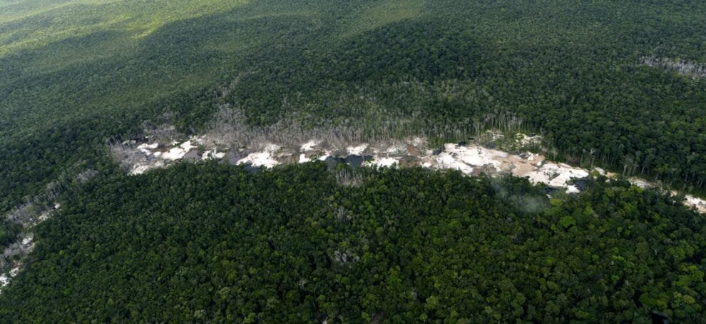 Aumento del 35% en la deforestación de Colombia durante 2024 pone en alerta a ambientalistas