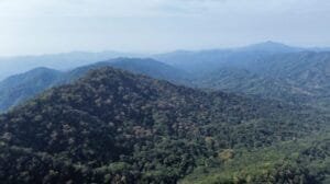 Colima destaca en calidad de vida y medio ambiente en el IMCO