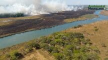 Incendios forestales: Amenazas en el ciclo del agua y la biodiversidad