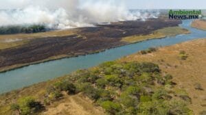 Incendios forestales: Amenazas en el ciclo del agua y la biodiversidad