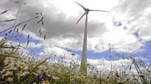 Sequía eólica en Europa: ¿un problema energético?