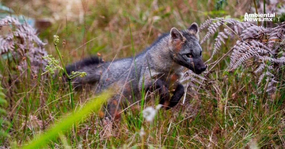 WEB AN Contaminacion atmosferica causa enfermedades mortiferas 1 2