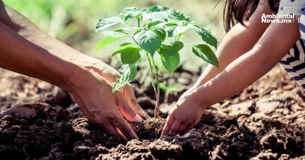 GoodWe lanza un ambicioso proyecto global de reforestación para combatir el cambio climático