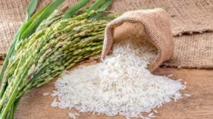 arroz
