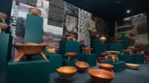 Explora las 6 Salas del Museo Joaquín Arcadio Pagaza y vive el cuidado del medio ambiente