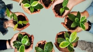como cuidar el medio ambiente 1