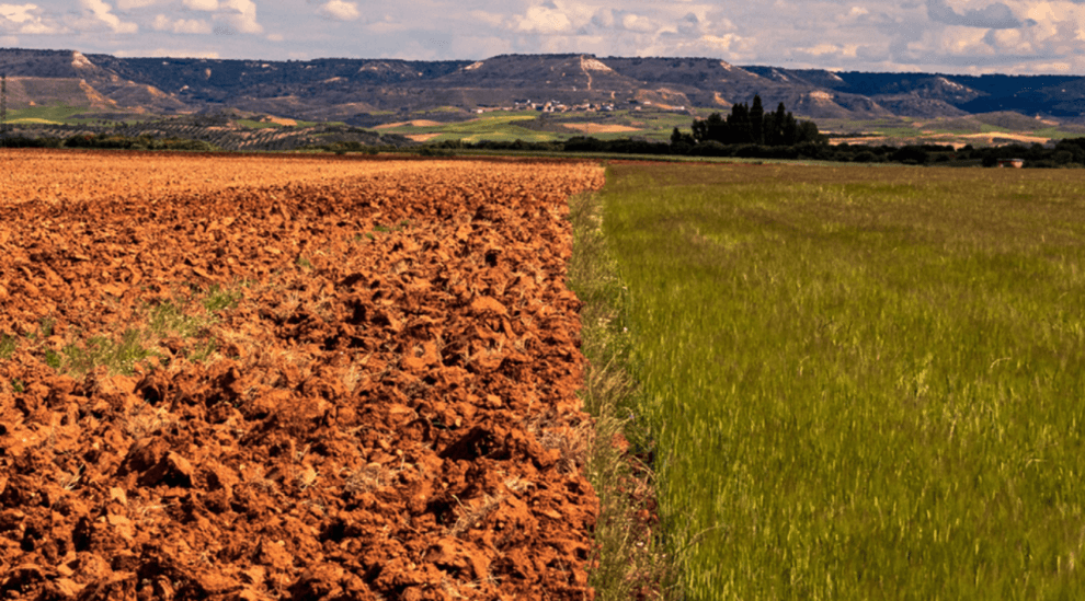 Cambio climático afecta los cultivos en el Soconusco, Chiapas