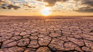 Tabasco apuesta por la restauración para enfrentar el cambio climático