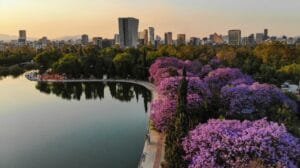 La primavera adelantada es solo el comienzo del cambio climático
