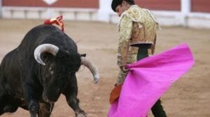 Congreso de CDMX analiza la “Tauromaquia” en parlamento abierto