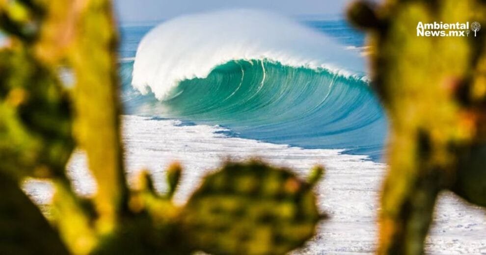 Puerto Escondido será la próxima Reserva Mundial de Surf 10 13032025 4