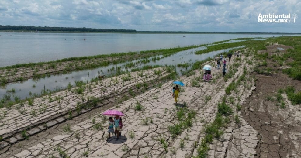 Cambio climático intensifica diversos fenómenos ambientales