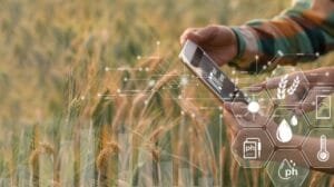 Arroz Jaspe Flar: un futuro sostenible para la agricultura