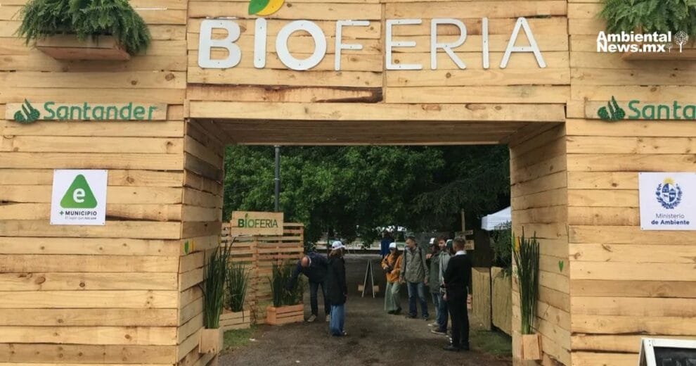 Bioferia 2025: un festival de sustentabilidad para disfrutar y aprender 10 Bioferia 2025: un festival de sustentabilidad para disfrutar y aprender